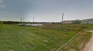 San Benedetto, avvistati due lupi nel quartiere Agraria, vicino al campo da rugby "Mandela"